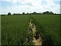 Footpath towards Gunby