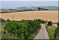 Road leads around field to Mill of Balcairn farm