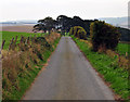 Looking back down the road