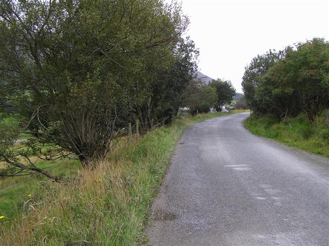 Road near Monreagh Hill