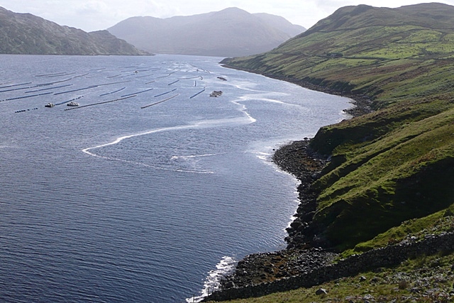 View up Killary Harbour