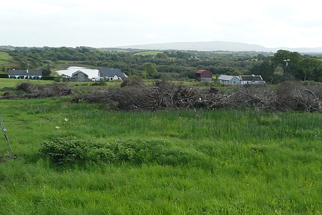 Pasture at Derrycooraun