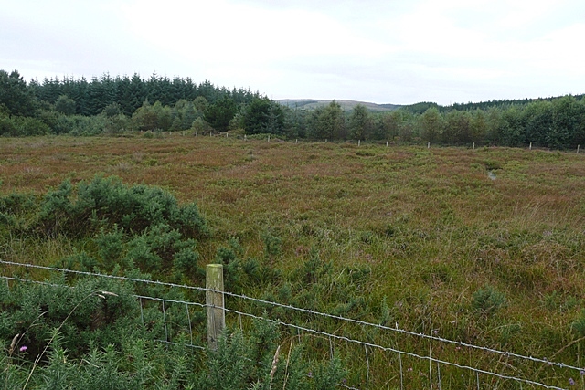 Moorland at Aille