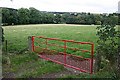 Scarlet Gate and Green Field