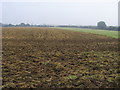 Field by railway line