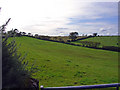 Pasture near Blaengilfach-uchaf, West Cilrhedyn