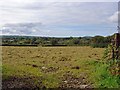 Newly-mown field near Cilwaun, Trelech