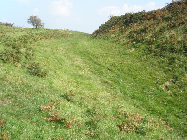Ditch defence at Pilsdon Pen hill fort