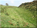 ST4101 : Ditch defence at Pilsdon Pen hill fort by Roger Cornfoot