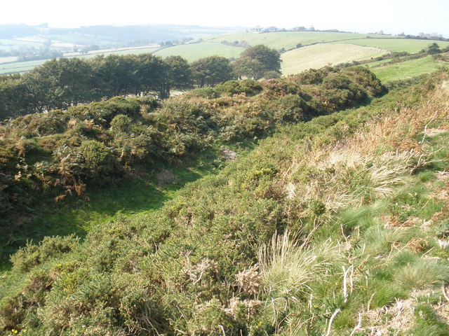 View north, from Pilsdon Pen