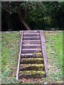 The Top Steps Gather No Moss