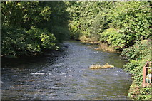 SS9128 : Dulverton: River Barle by Guy Wareham