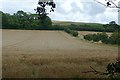 Arable land at Milford