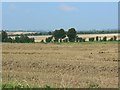 SU1171 : Wheat straw, north-east of Avebury by Brian Robert Marshall