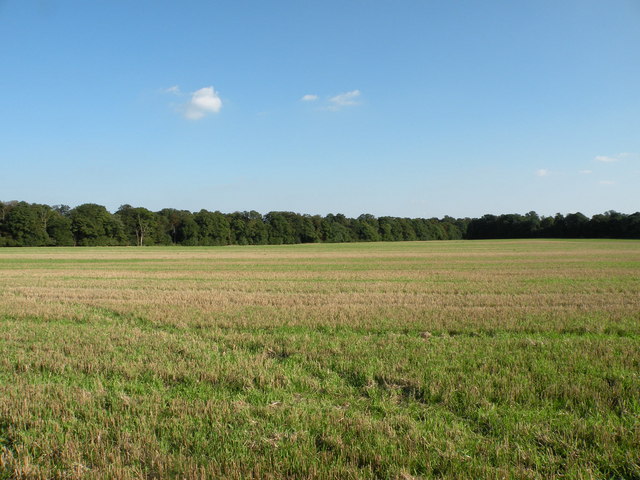 Farmland near the A11 / A14 intersection, looking SE