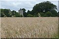 SU2232 : Arable land near West Winterslow church by Graham Horn