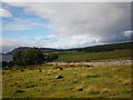 NW Shore of Loch Duntelchaig