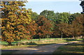 Tree-lined farm track north of Shimpling Park Farm