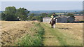 Riders approaching from Hartest Hill