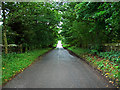 Road from New Fowlis to Kinkell Bridge