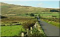 The Mournes near Kilcoo