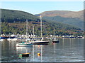 NS1780 : Yachts moored on the Holy Loch by Dannie Calder