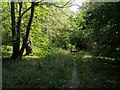 Footpath through Pimlock