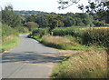 Lane towards Shimpling from the west