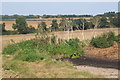 Farmland in shallow valley east of Shimpling