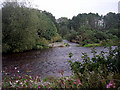 Tributary meets the Ystwyth