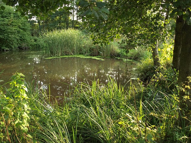 Pond, Charlie Ballard Nature Reserve © Derek Harper :: Geograph Britain ...