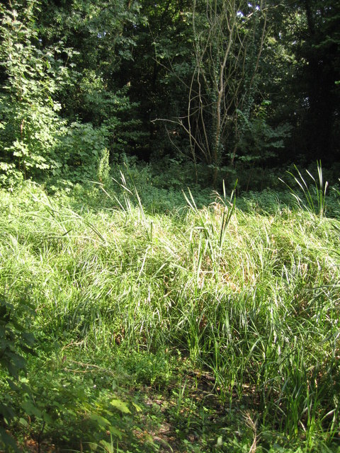 Overgrown overspill channel