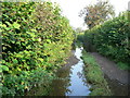 Flooded footpath South West of Llanharry