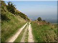 Path going North off the South Downs Way down Trueleigh Hill