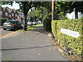 Looking westwards along Moor Pool Avenue