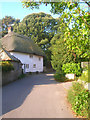 Deep Thatch Cottage, The Street