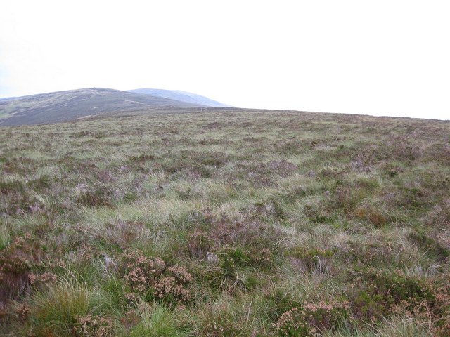 Moorland between Moel Sych and Milltir Gerrig