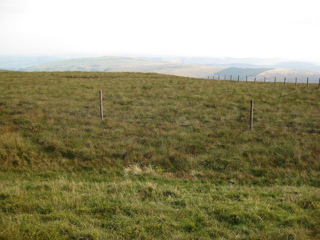 Moorland between Moel Sych and Milltir Gerrig