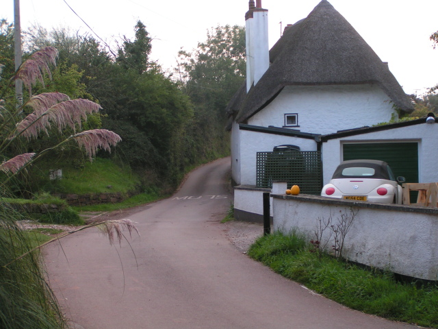 House and the lane going through Raddon