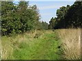 NT6643 : Path in Gordon Community Woodland by M J Richardson