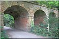 Bridge over the Dismantled Railway from Picton to Battersby