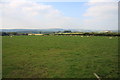 SS7133 : Sheep grazing near Molland Cross by Guy Wareham