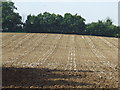 Lines in the field