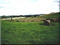 Ancient stones near Nether Wheedlemont