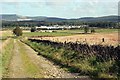 Looking Towards Huntly