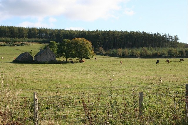 Gorehead and Tyrebagger Hill © Anne Burgess cc-by-sa/2.0 :: Geograph ...