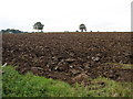 Freshly Ploughed