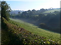 Mist rising from the river Cynllaith