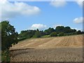 Farmland, West Knoyle