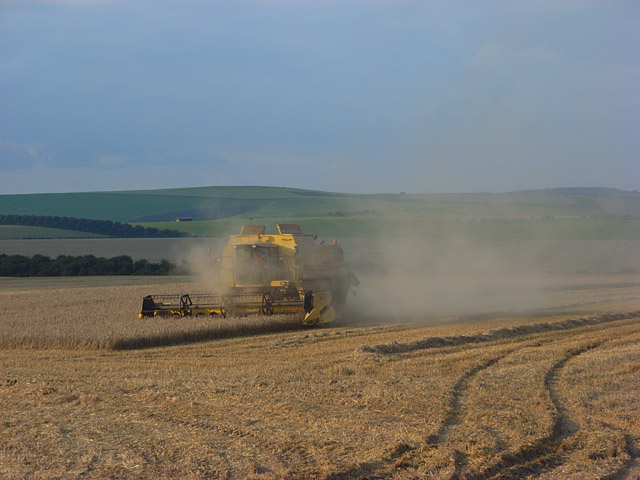 Harvesting, West Knoyle
